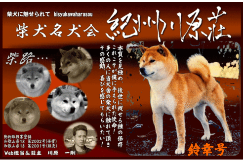 川原一泰ブリーダーの詳細